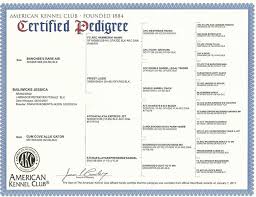 Free Pedigree Chart Template Elegant Free Dog Pedigree Chart Template Cats Dogs Pedigree Chart Akc Boston Terrier Funny
