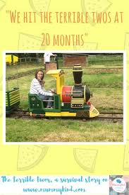 The Terrible Twos A Survival Story They Really Are Terrible Terrible Twos Good Parenting Parenting