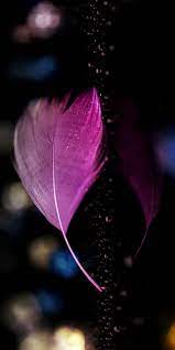 Pin By ام العبد الشاعر On Dreamcatchers Cute Desktop Wallpaper Desktop Wallpaper Design Beautiful Wallpapers Backgrounds