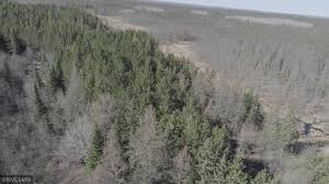 Proudly serving cook, minnesota and nearby. 35 Cook Homes For Sale Cook Mn Real Estate Movoto