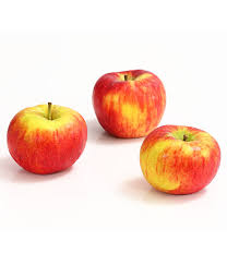 Topaz is a simulator modeled on the business environment where participants, organized in teams, manage a company. Herbstapfel Topaz Dehner