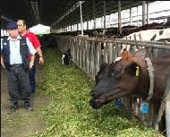 Pembangunan pertanian bersepadu (iadp) objektif agensi dan kementerian yang terbabit agensi pemasaran, koperasi, dan persatuan penjaja ditubuhkan untuk membantu petani menentukan harga hasil mereka. Anim Agro Technology Sistem Pertanian Bersepadu Terbaik
