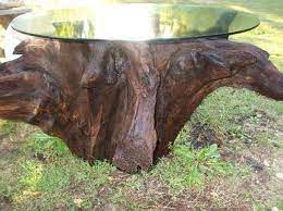 Tree Trunk Tables Tree Trunk Table Trunk Table Tree Table