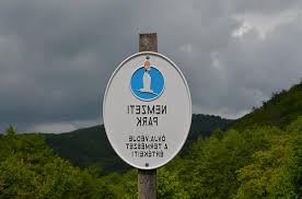 Toen wij op zaterdag 25 oktober in alle vroegte rond 5u30 voor het eerst de grens van hongarije binn. Teken Nationaal Park Hongarije Natuur Bos Regio Bomen Toeristische Attracties Groen Hongaars Landschap Pikist