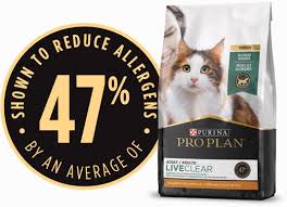 Learn more about chicago cat rescue in chicago, il, and search the available pets they have up for adoption on petfinder. Steve Dale Pet World 1 3 2021 Alison Arngrim Aka Nellie Oleson From Little House On The Prairie The Greatest Game Change For Cats And More Wgn Radio 720 Chicago S Very Own