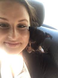 Why is my dog giving me the look of betrayal?