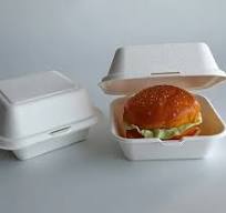 Eco-Friendly Disposable Sugarcane Food Container Bagasse Square Clamshell  Box