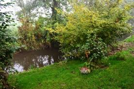 Der Garten Im Oktober Was Gibt Es Zu Tun Haus Und Beet Gartenarbeit Gemusegarten Anlegen Garten Anlegen