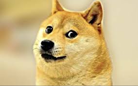 Flash crash liquidates $10 billion. Dogecoin Surges As Reddit Madness Engulfs Cryptocurrencies