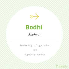 Baby Name Bodhi Names With Meaning Baby Names Baby Boy Names
