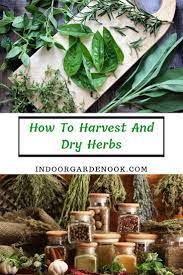 How To Harvest And Dry Herbs Indoor Garden Nook Growing Herbs In Pots Harvesting Herbs Drying Herbs