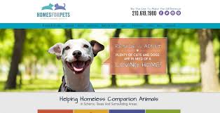 Homes for pets (the schertz humane society) serves the schertz, texas and surrounding san antonio areas. Pet Adoption San Antonio Schertz Humane Society Foster Pet Carehomes For Pets