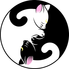 Download Hd Sailor Moon Clipart Transparent Background Luna And Artemis Yin Yang Transparent Png Image Nicepng Com Download 7 sailor moon free vectors. artemis yin yang transparent png image