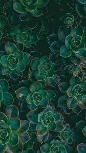 Check spelling or type a new query. 230 Iphone Wallpapers Ideas In 2021 Iphone Wallpaper Iphone Background Cute Wallpapers