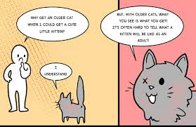 Do you like animals, but are unable to commit to one long term? This Comic About Unadoptable Cats Is Amazing Bored Panda