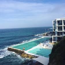 Italian restaurant, seafood restaurant, pool. Cocktails At Icebergs Bondi Picture Of Icebergs Dining Room And Bar Bondi Tripadvisor
