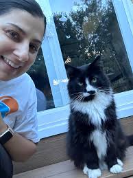 Where to get feral cats TNR'd in the neighborhood?