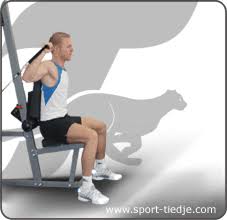 Der musculus deltoideus (von altgr. Online Muskelguide Deltamuskel Sport Tiedje