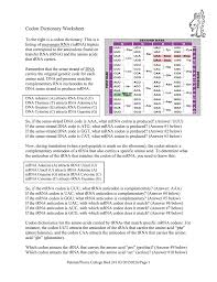 Codon Dictionary Worksheet