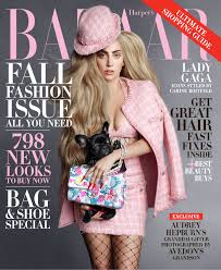 Lady gaga's dog is picked up by her bodyguard at the hollywood lapd station. Lady Gaga And Her Dog Cover The September Issue Of Harper S Bazaar