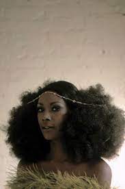 Pin By Paulo Emmanuel On Natural Hair Styles Natural Hair Styles Hair Evolution Hair Styles