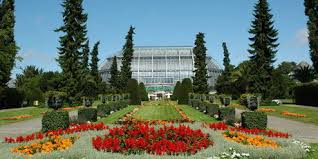 Botanisches Museum Visitberlin De