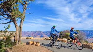 Image result for Bicycle