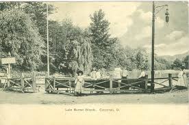 The Lake At Burnet Woods 1907 Cincinnati Cincinnati Ohio Lake