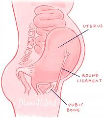 Pin On Schwangerschaft Pregnancy