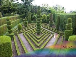 Photographic Print Topiary In Formal Garden Botanical Garden Funchal Madeira Portugal Europe By Michael Runke In 2020 Garden Planning Formal Garden Garden Design