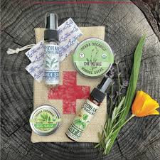 Image result for First Aid Travel Kit