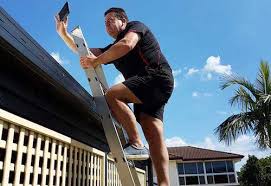 You can be sure that all inspections are independently carried out to the highest. Making Sense Of Your Building And Pest Inspection