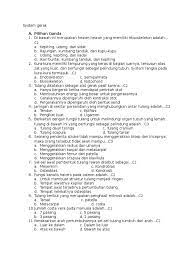 We did not find results for: Soal Dan Jawaban Sistem Gerak