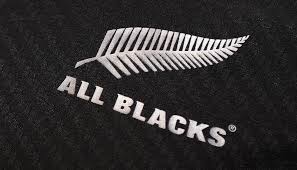 We did not find results for: This Lions Tour Don T Impress Me Much Newshub