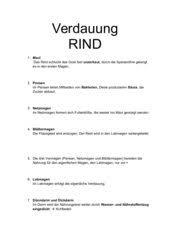 Biologie Arbeitsmaterialien Rind 4teachers De