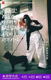 推荐一个叫 网易 的好文案 看看如何写出好文案 slogan design poster layout food poster design