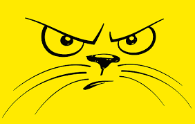 300 Free Cartoon Cat Cat Images Pixabay In 2020 Kitten Drawing Cartoon Cat Cat Face