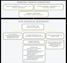 Llc Organizational Chart Www Bedowntowndaytona Com