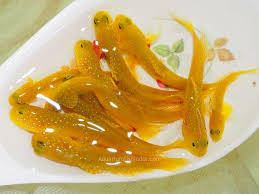 We did not find results for: Yellow Watchman Goby Suppliers In India Bicolour Blennyfish Red Tail