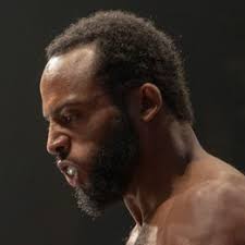 Andrew Stock vs. Paul Thimote, Triton Fights 8