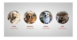 Invest in Oxford Hounds: We create men's luxury apparel and accessories  while maximizing investor value!