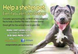 Oc shelter pets is directly connected with the orange county shelters, and members within our community. Animal Services Orange County Nc