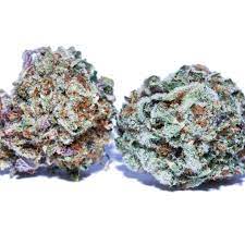 Harvesting = 1 to 3 days. Colombian Gold Cannabis Downtown Los Angeles Pot Valet