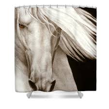 Excludes items marked everyday low price. Black And White Horse Shower Curtains Fine Art America