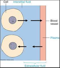 Electrolyte Fluid Balance Fluid And Electrolytes Electrolytes Nursing Extracellular Fluid
