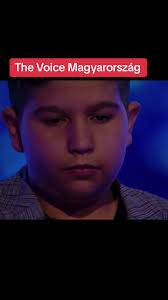 Daniel Maccioni Voice