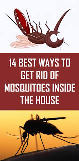 14 Best Ways To Get Rid Of Mosquitoes Inside The House Home Remedies For Mosquito Diy Mosquito Repellent Inside Diy