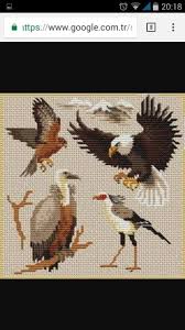 Total 10 designs.hope you'll find something here for your next cross stitch project. Pin By Angelika Zambuto On Etamin Cross Stitch Bird Cross Stitch Animals Cross Stitch