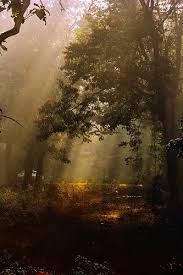 First Rays Of Light In The Morning Nature Photography Nature Beautiful World