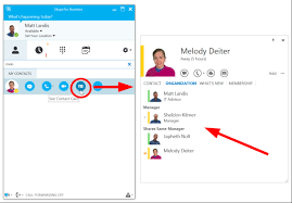 Organizational Chart Right From A Skype For Business Contact